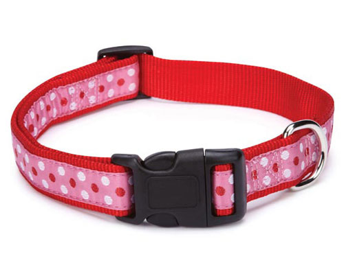 Dotty Red & Pink Collar