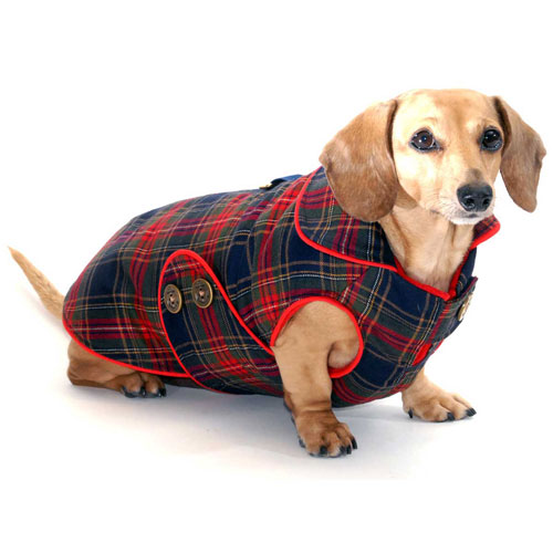 Derry Plaid Dachshund Coat (Reversible)